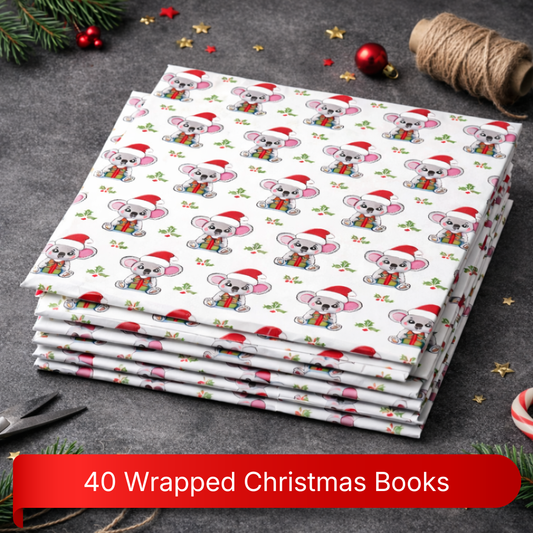 Individually Wrapped Christmas Book Packs (40 Books)