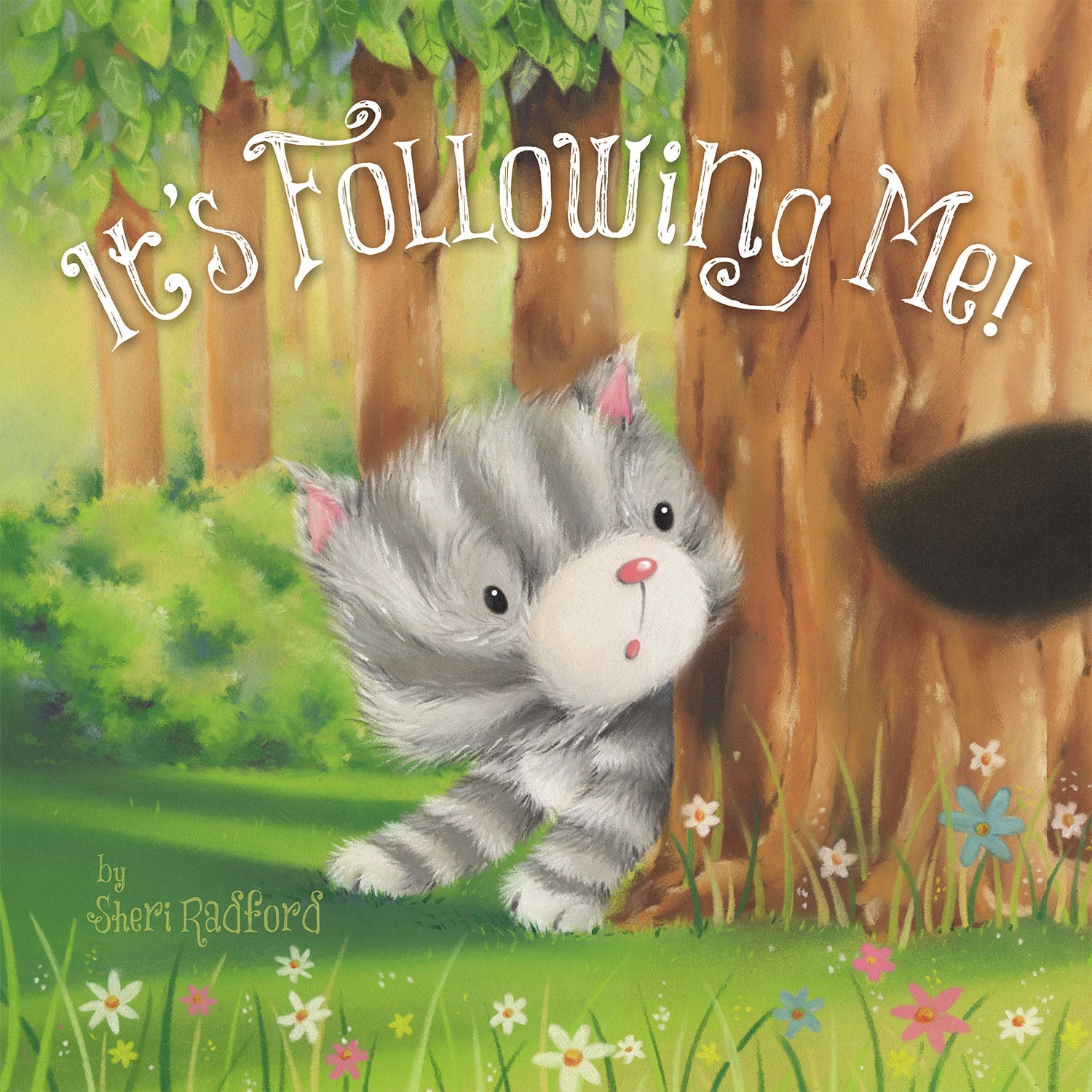 It's Following Me picture book